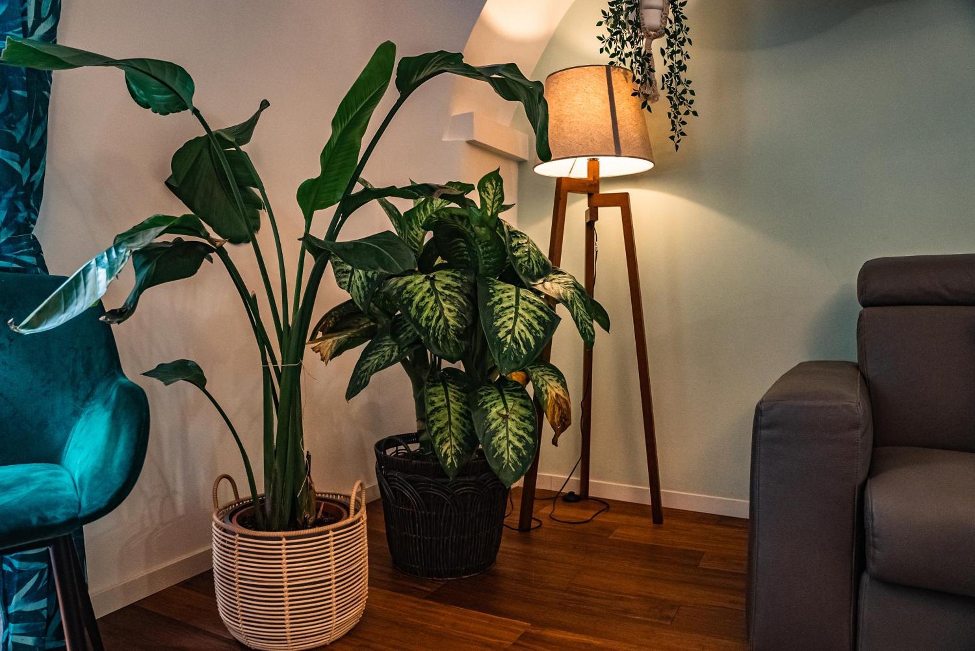 Casa Spinola View Apartment Genoa Ngoại thất bức ảnh